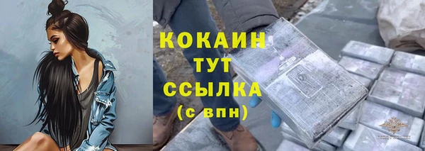 дживик Переславль-Залесский