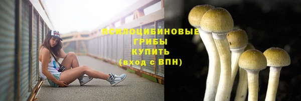 ALPHA PVP Алзамай