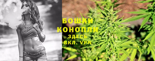 ALPHA PVP Алзамай